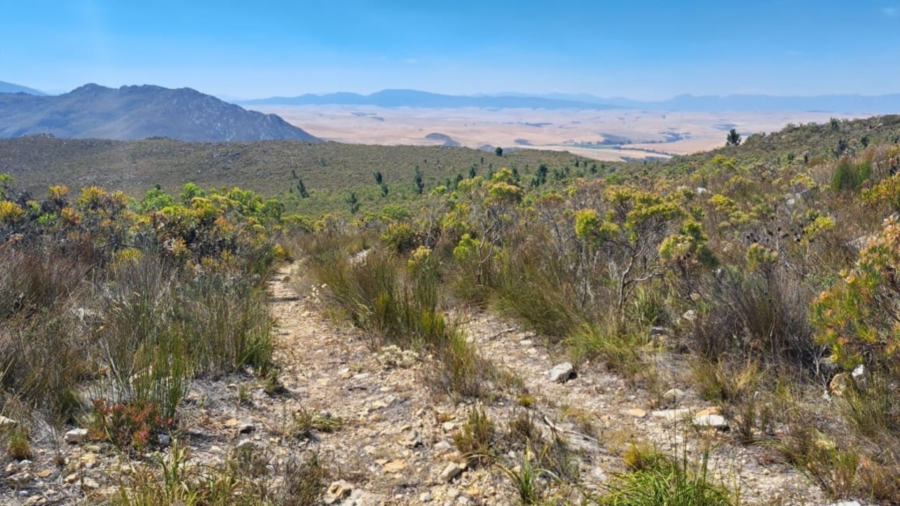 0 Bedroom Property for Sale in Caledon Rural Western Cape